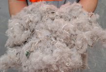 How the UK’s first carpet recycling facility is changing the future of carpets