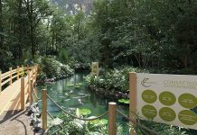 A fit-for-purpose and guaranteed plywood panel