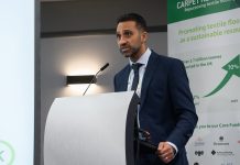 The power of collaboration in the carpet and textile flooring sector