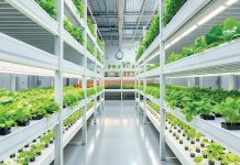 Kemtile paves the way for sustainable vertical farming with high-performance flooring solution