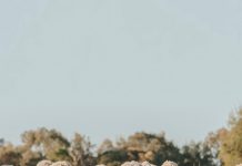 The Campaign for Wool Marks 15 years of advocating nature’s smartest fibre at The Flooring Show 2025