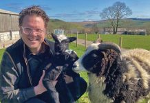 Cavalier offers peace of mind with wool